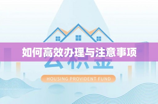 平陆如何高效办理与注意事项