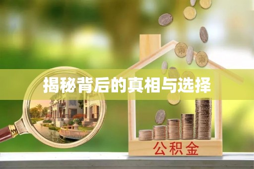 平陆揭秘背后的真相与选择