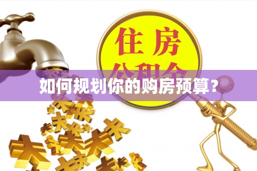平陆如何规划你的购房预算？
