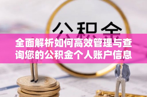 平陆全面解析如何高效管理与查询您的公积金个人账户信息