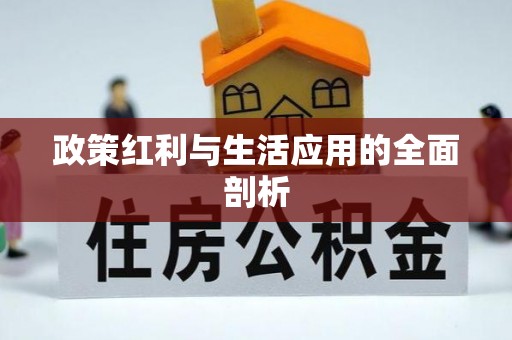 平陆政策红利与生活应用的全面剖析