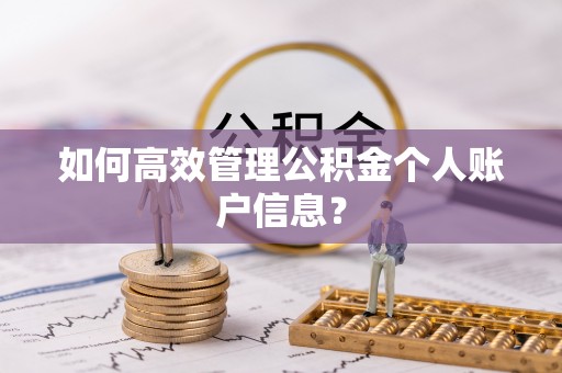 平陆如何高效管理公积金个人账户信息？